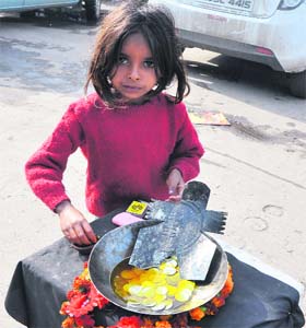 Grim picture: A girl seeks alms at the main bus stand in Jammu on Monday