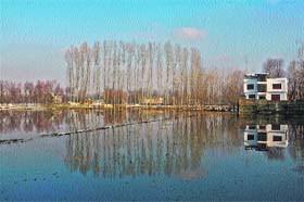 Mirror image: Trees are reflected in a pond on the outskirts of Srinagar