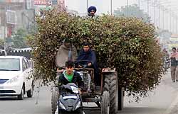 A tractor-trolley loaded with dry cotton stalk makes its way through a busy road in Bathinda