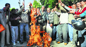 Striking state government employees burn an effigy of the BJP in front of the partys state office in Dehradun on Wednesday. 