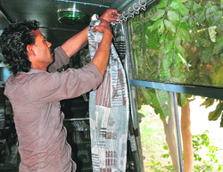 A worker removes curtains from a bus in Gurgaon