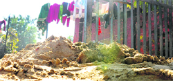 Construction material dumped outside the polyclinic; and (below) the administrative officer shows the locked X-ray room. Tribune photos: Pradeep Tewari