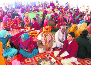 A section of couples at a mass marriage in Kurukshetra on Thursday.