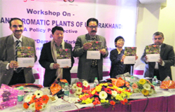 Principal Chief Conservator of Forests, Dr RBS Rawat (third from left), releases a book titled Domestic market study for selected medicinal and aromatic plants of Uttarakhand in Dehradun on Friday. A Tribune photograph 