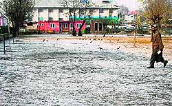 A man walks on ice-covered grass at a park in Srinagar on Saturday