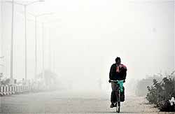 A cyclist paddles his way through a thick blanket of fog on a cold Sunday morning in Ludhiana