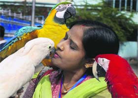 A bird lover with macaw and cockatoo birds at the inauguration of 13th Exotic Bird Show in Kolkata on Monday