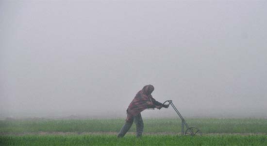 A farmer works in a field in a foggy weather in Ludhiana on Monday. Several flights were delayed to the Amritsar airport and many trains ran behind schedule across the state