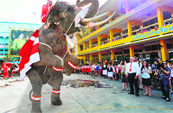Jumbo Xmas: An elephant dressed in a Santa Claus costume performs on the Christmas eve at a school in Ayutthaya province, Thailand, on Monday.  AFP