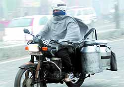A milk vendor braves the cold weather in Bathinda on a foggy Tuesday morning