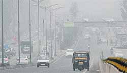 Traffic moves at a snails pace on a foggy day on the Zirakpur-Chandigarh Highway on Wednesday