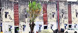 Non-teaching employees' houses on the Panjab University campus are in bad shape