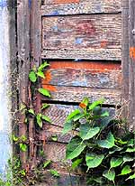 The door of a house in a bad shape