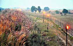 A view of the floodlit international border in the RS Pura sector of Jammu district