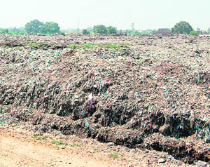 A view of garbage at the solid waste management plant at Bhaktanwala in Amritsar.