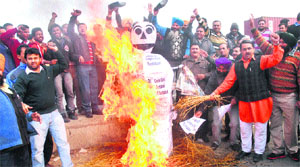 Members of the IOC Tanker Union burn an effigy of the IOC authorities Jalandhar on Thursday. 
