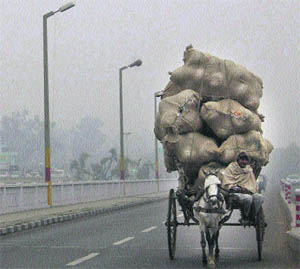 A loaded horse-cart plying on a bridge on a foggy morning in Jammu on Thursday. 