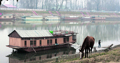 A typical cold morning in Srinagar on Thursday.