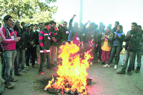 SFI activists burn an effigy of the Himachal Pradesh University Vice-Chancellor in Shimla on Saturday.
