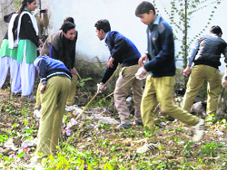 NSS volunteers participate in a cleanliness drive at Parade Ground in Dehradun on Sunday.