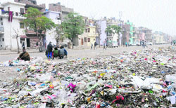 Garbage lying in a colony at Sector 25, Chandigarh. Tribune photo: S Chandan