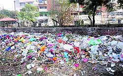 Garbage is dumped in the open on the dividing road of Sector 45-C and Burail village