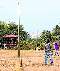 An electricity pole sans a bulb at a green belt