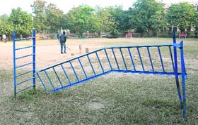 A broken monkey ladder at Sector 29 in Chandigarh