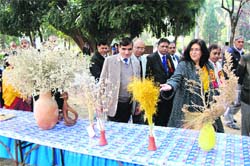 Dr Santosh Dhillon, Dean of Basic Science College of Chaudhary Charan Singh Haryana Agricultural University, views a chrysanthemum show along with others on the university campus in Hisar.