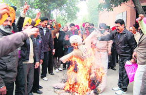 Members of the Punjab State Pharmacists Association burn an effigy of the Director, Health, outside the Civil Surgeon office in  Amritsar on Thursday. 