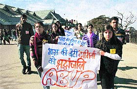 Students hold placards during a protest against the Delhi gang rape in Shimla on Friday. 