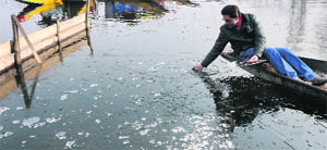 A view of the partially frozen Dal Lake in Srinagar on Friday. 