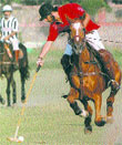 Young polo player Anmol Rattan Singh in action. A Tribune photograph