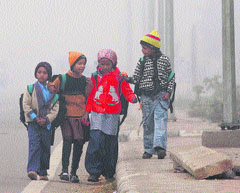 Braving intense cold: Children on their way to school on a foggy morning in Amritsar on Saturday. photo: vishal kumar
