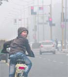 A child braves chill while riding a bicycle on the road dividing Sectors 16 and 17 in Chandigarh on Sunday.