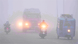 A morning view of the national highway engulfed in thick fog in Haridwar on Sunday