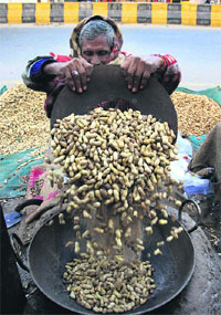 As cold wave continues across the region, a street vendor fries more peanuts expecting a good sale in Jalandhar on Sunday.