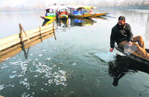 A man picks up ice flakes from the partially frozen Dal Lake in Srinagar on Monday. 