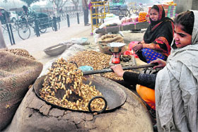 Expecting good sale this Lohri, a street vendor roasts groundnuts in Ludhiana on Monday. 