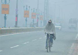 On Tuesday, while the minimum temperature dipped to 0.2 degree Celsius, the maximum temperature was recorded at 8.2 degree Celsius in Bathinda. 