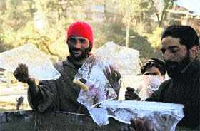 Kashmiri labourers hold frozen water in Shimla on Monday. 