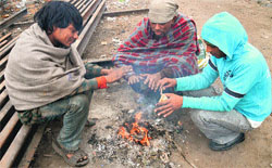Though the day saw some sunshine, the temperature dipped in the evening in Ludhiana on Wednesday. Photo: Inderjeet Verma