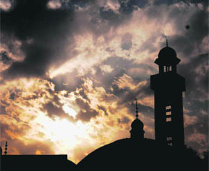 A splendid view of sky captured by Tribune lensman Manoj Mahajan in Chandigarh on Saturday. 