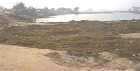A view of the site where the colony is supposed to come up in Fazilka