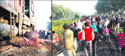 The elephant that was crushed by a train in the Motichur-Kansrao railway corridor; and (right) people gather near the track in Haridwar  on Sunday. 