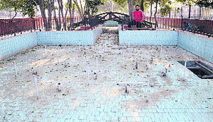 A fountain which has been out of order for a long time. 