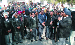 Lawyers stage protest outside the office of the SSP in Bathinda on Monday. 
