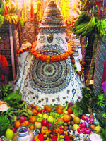 The 15-quintal butter idol at the Bajjreshwari temple in Kangra on Monday.
