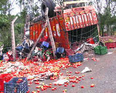 Tomatoes on the road after the truck overturns in Rajouri on Sunday.