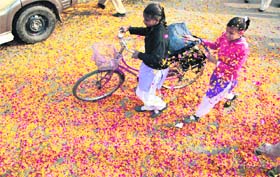 Schoolgirls pass through the road that was left covered with flower petals after the nagar kirtan had passsed from the spot in Jalandhar on Tuesday